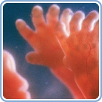 week 21