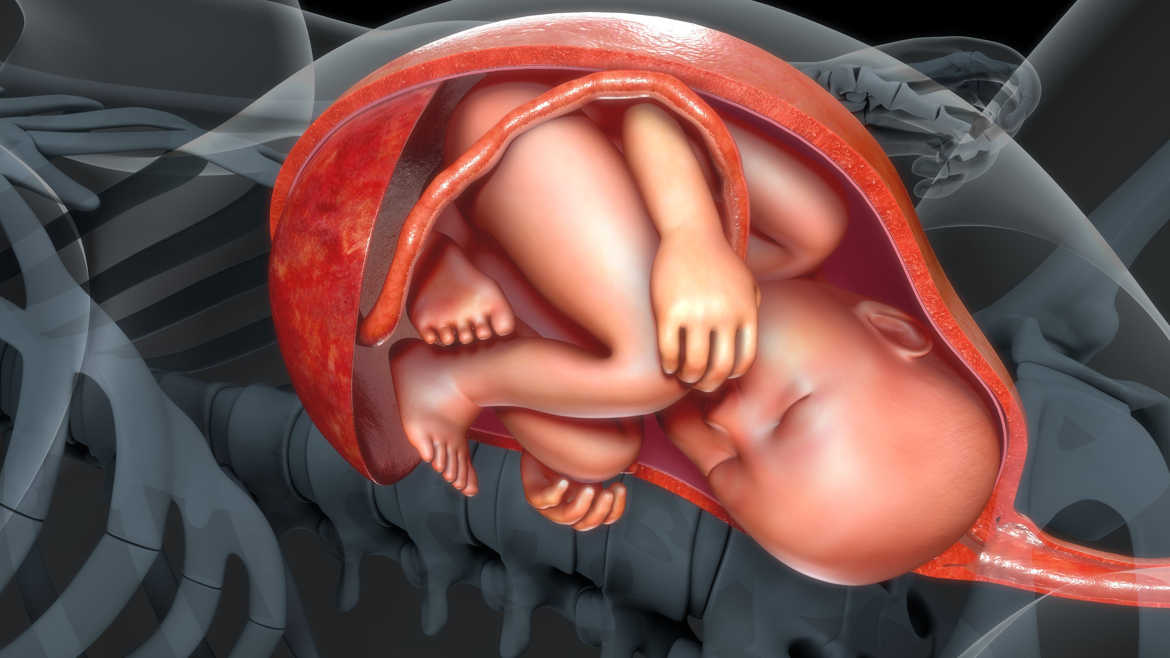 Bevallingsverhalen: Placenta