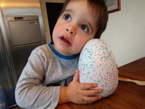 Hatchimals