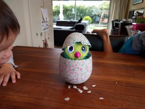Hatchimals