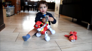 Zoomer Marshall Spin Master