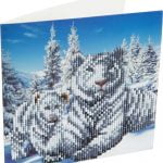 Crystal Card Kit