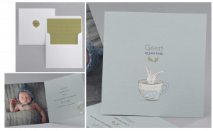 Collectie My Little Bunny