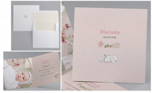 Collectie My Little Bunny