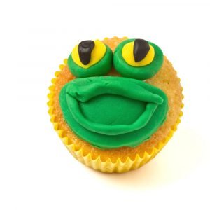 Mooie cakejes traktatie