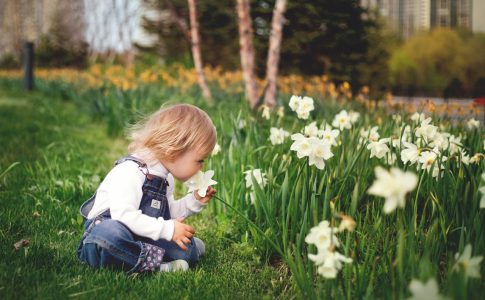 Een kindvriendelijke en budgetvriendelijke tuin 5 tips