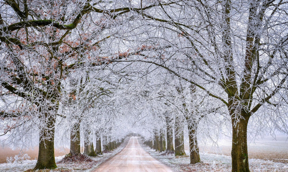 passen die schoenen van vorige winter nog