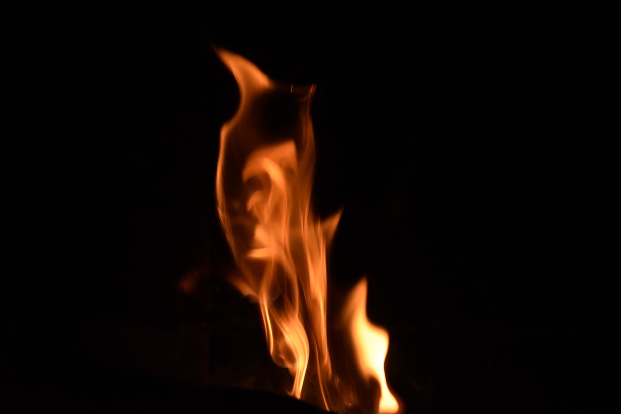 Welk hout zorgt voor de mooiste vlammen en de meeste sfeer in de tuin?