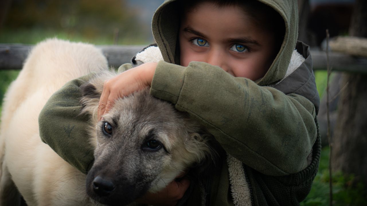 Hoe een hond helpt bij de opvoeding van je kind